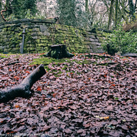 Buy canvas prints of The Historic Wall of Eastham Woods by Ben Delves