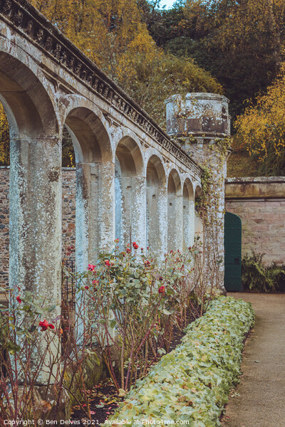 The Enchanting Rose Garden of Abbotsford House Picture Board by Ben Delves