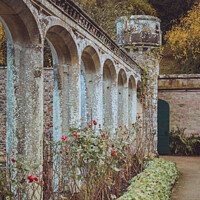 Buy canvas prints of The Enchanting Rose Garden of Abbotsford House by Ben Delves