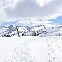 Buy canvas prints of Snowy Mountain Chain - Cavalese Paion, Italy   by Damian Możdżeń