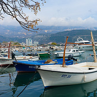 Buy canvas prints of Bay of Budva, Montenegro by Madhurima Ranu