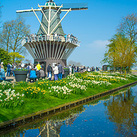 Buy canvas prints of Windmills at Keukenhof Gardens, Netherlands by Madhurima Ranu