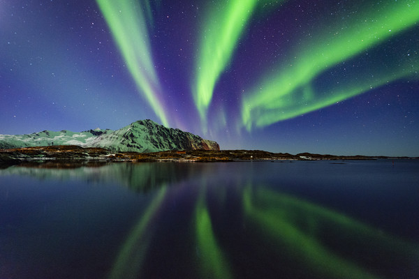 Northern lights in Lofoten Picture Board by Lukasz Lukomski