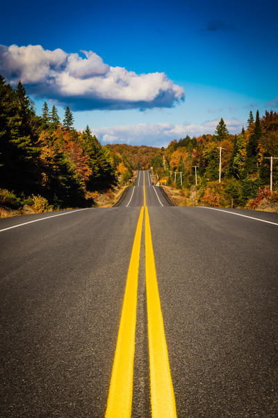 Canadian roads Picture Board by Lukasz Lukomski