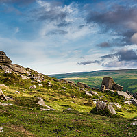Buy canvas prints of On Yar Tor by Jean Fry