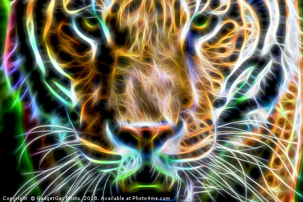 Tiger Face fractalius wall art Picture Board by GadgetGaz Photo