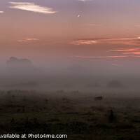 Buy canvas prints of Mist on the marshes. by GadgetGaz Photo