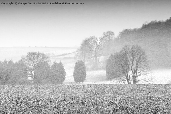 Snow Storm over Marshside fields Picture Board by GadgetGaz Photo