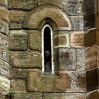 Buy canvas prints of Gothic Window  Jackdaw by Ste Jones