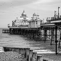 Buy canvas prints of Eastbourne pier and beach by stuart bingham