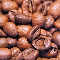 Buy canvas prints of Roasted coffee beans arabica by Jenn Burns