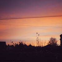 Buy canvas prints of Sky cloud sunrise sunset pink blue plants building by Jenn Burns