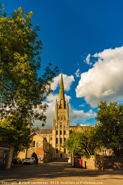 Majestic Norwich Anglican Cathedral Picture Board by Heidi Hennessey