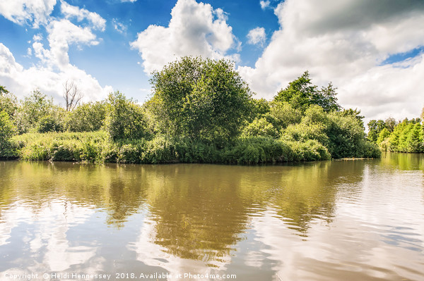Norfolk Broads Trees in Reflection  Picture Board by Heidi Hennessey