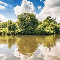 Buy canvas prints of Norfolk Broads Trees in Reflection  by Heidi Hennessey