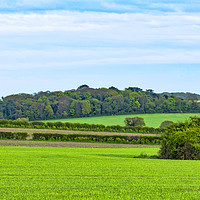 Buy canvas prints of Serene North Norfolk Countryside by Heidi Hennessey