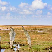 Buy canvas prints of The History and Majesty of Thornham Old Harbour by Heidi Hennessey