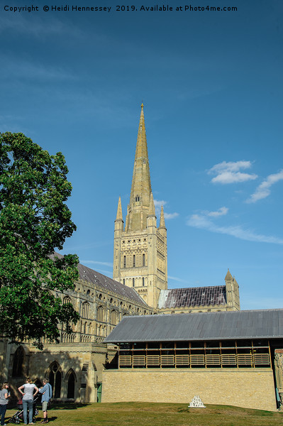 The Majestic Norwich Anglican Cathedral Picture Board by Heidi Hennessey