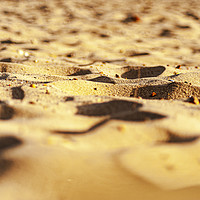 Buy canvas prints of Sun-Kissed Sands by Heidi Hennessey