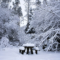 Buy canvas prints of A snowy picnic by Kevin Arscott