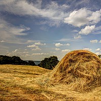 Buy canvas prints of Hay Bale by Kevin Arscott