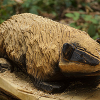 Buy canvas prints of Badger Wood Carving by Tina Collins