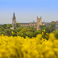Buy canvas prints of Blossoming Abbey by Keith Rennie