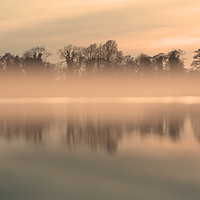 Buy canvas prints of A misty sunset by Adrian Fox