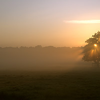 Buy canvas prints of Morning Mist by Adrian Fox