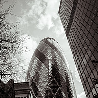 Buy canvas prints of Low angle view of the Gherkin and City of London by Sophie Shoults