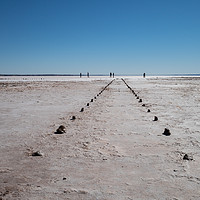 Buy canvas prints of  Making Tracks, Lake Hart, Australia by Sophie Shoults