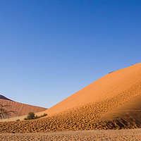 Buy canvas prints of Dune 45 Winter landscape Sossusvlei, Namibia by Childa Santrucek