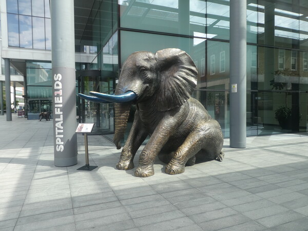 A statue of an elephant Picture Board by Simon Hill