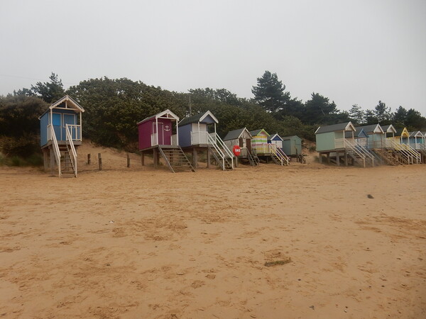 The Beach Huts Picture Board by Simon Hill