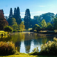 Buy canvas prints of Majestic Waters of Sandringham by Simon Hill