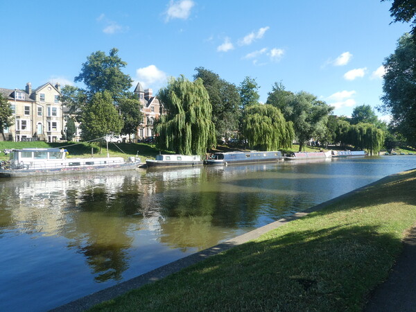 Serenity of Cambridge's River Cam Picture Board by Simon Hill
