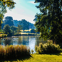 Buy canvas prints of Serenity at Sandringham Estate by Simon Hill