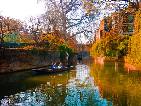 Punt on the River Cam Picture Board by Simon Hill