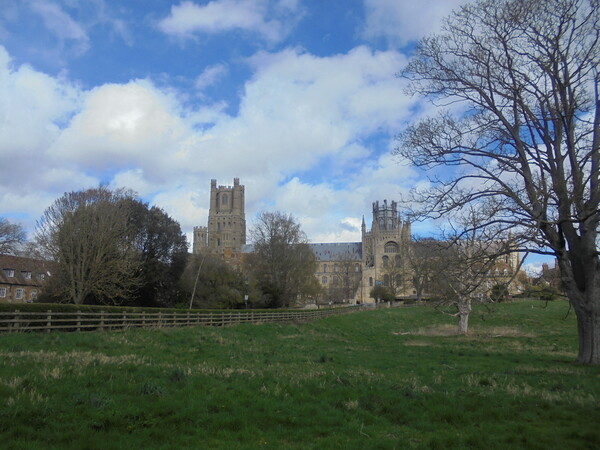 Ely Cathedral Landscape View Picture Board by Simon Hill