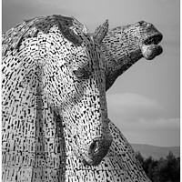 Buy canvas prints of A close up of The Kelpies by Peter Anthony Rollings