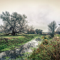 Buy canvas prints of Along the Bain in Kirkby by Peter Anthony Rollings