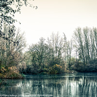 Buy canvas prints of On Frozen Ponds by Peter Anthony Rollings