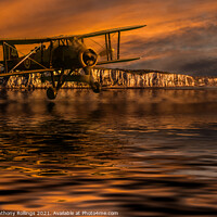 Buy canvas prints of Fairey Swordfish by Peter Anthony Rollings