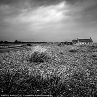 Buy canvas prints of Shingle Street by Peter Anthony Rollings