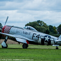 Buy canvas prints of Thunderbolt P47 by Peter Anthony Rollings
