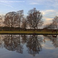 Buy canvas prints of New Forest Winter reflections by Nick Keown