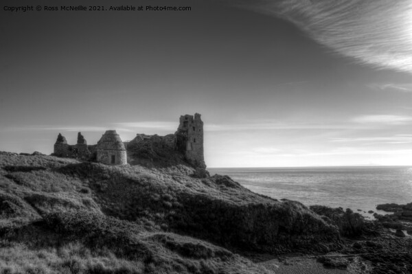 Dunure Castle and Doocot Picture Board by Ross McNeillie