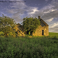 Buy canvas prints of The Ruins of Macilveenston by Ross McNeillie