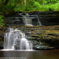 Buy canvas prints of Serene Scottish Waterfall Scene by Ross McNeillie