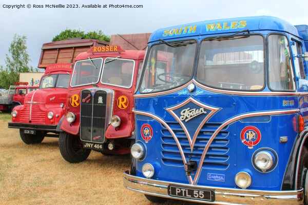 Three Vintage Trucks Picture Board by Ross McNeillie